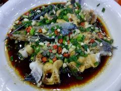 -全乐鱼馆·淳牌有机鱼直营店