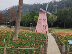 -顺峰山公园