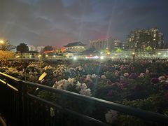-曹州百花园