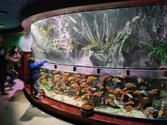 -太平洋海底世界