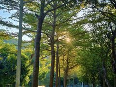 -凤岗南门山森林公园