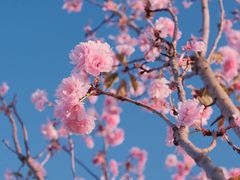 -观澜湖生态运动公社