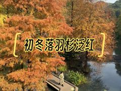 -云溪植物园