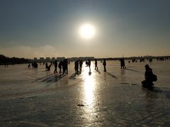 -丁香湖公园