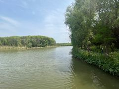 -昆山城市生态森林公园