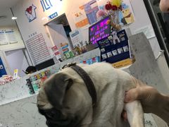 -心语宠物医院·急重症转诊中心·瑞辰华诺(南青路店)