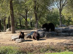 -北京野生动物园