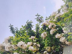 -南山风景名胜区