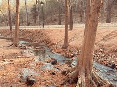 -白水寺森林公园