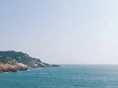 -广东惠东海龟国家级自然保护区