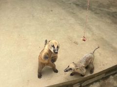 -杭州野生动物世界
