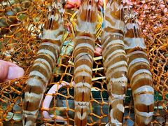 -四川小胡子海鲜(丁村万人海鲜广场店)