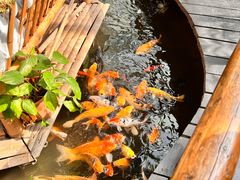 -上海大自然野生昆虫馆