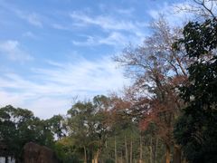 -福清灵石山国家森林公园