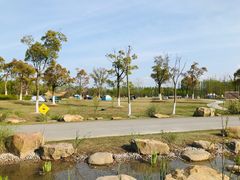 -上海长兴岛郊野公园