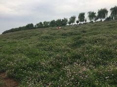 -洨河生态公园