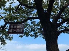 -紫金山山顶公园
