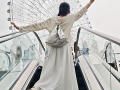 -南昌之星摩天轮