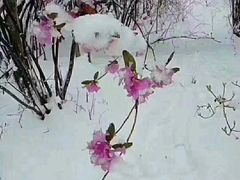 -崂山巨峰游览区
