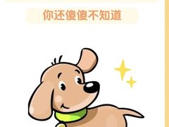 -美联众合动物医院·24h转诊中心