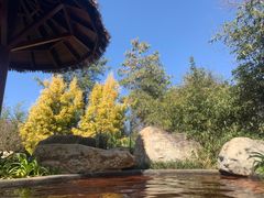 -七彩云南古滇温泉山庄