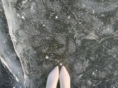 -卧龙湖