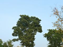 -白鹭湾湿地公园