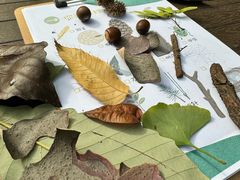 -国家植物园南园