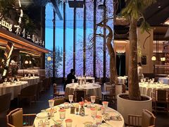 -桂满陇·海市蜃楼·黑金(国金店)