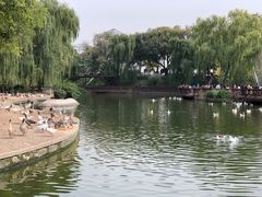 -太原动物园