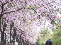 -广东财经大学(广州校区)