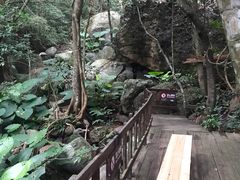 -七仙岭温泉国家森林公园
