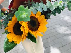 -宝鸡东道花鸟鱼虫市场(吉利花园商场店)