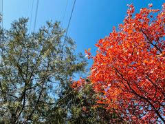 -北京十三陵国家森林公园蟒山景区