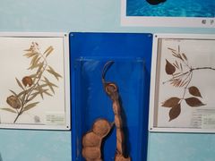 -重庆自然博物馆(新馆)