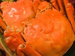 -君悦酒店·1881·北京烤鸭