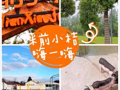 -前小桔亲子创意农场·草莓采摘·露营烧烤