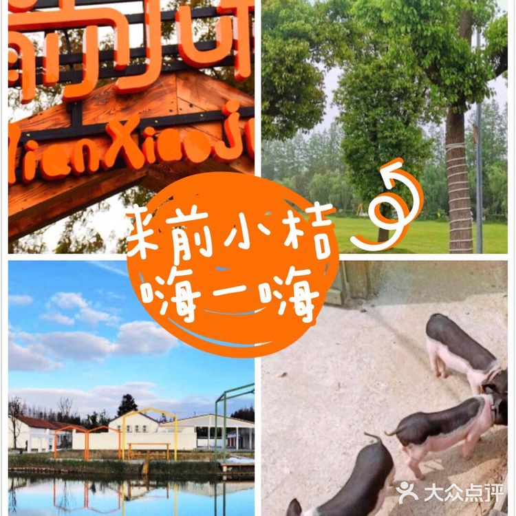 带娃放电💥💥，就来前小桔[胜利]