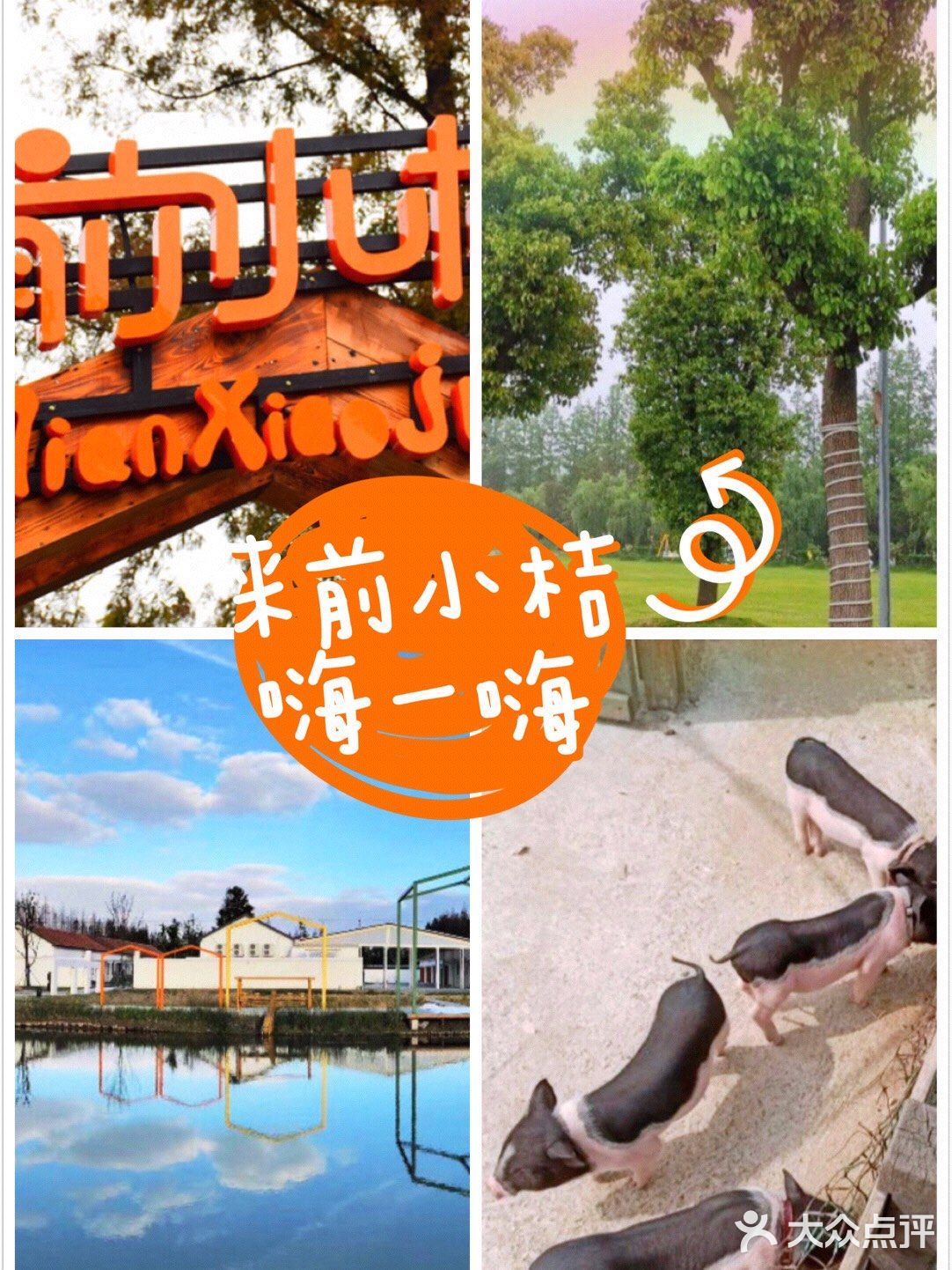 带娃放电💥💥，就来前小桔[胜利]