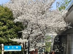 -杭州师范大学附属医院(杭州总院)
