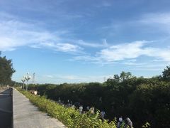 -宝安西湾红树林湿地公园