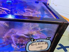 -喜碧海鲜·二十年本土海鲜老字号(上排店)
