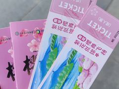 -上海辰山植物园