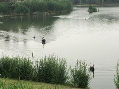 -江南大学(蠡湖校区)