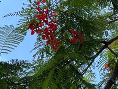 -壹只卤鹅·潮汕菜(莲塘店)