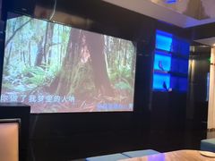 -V·SHOW KTV(南山店)