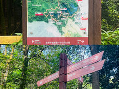 -阳台山森林公园