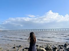 -宝安西湾红树林湿地公园