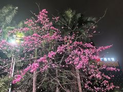 -新梦百货(民族店)