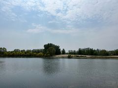 -东郊湿地公园